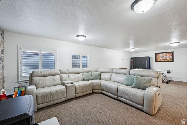 967 W Yamada Ct S, Syracuse, UT 84075 - carpeted living area with a textured ceiling