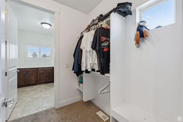 967 W Yamada Ct S, Syracuse, UT 84075 - spacious closet with light carpet