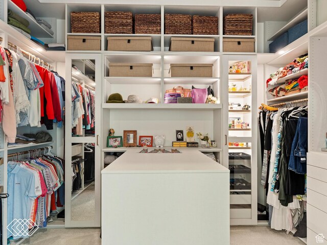 5731 E Porcupine Ridge Dr N, Eden, UT 84310 - walk in closet with light colored carpet