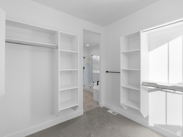 1018 S 3250 E Unit 128, Spanish Fork, UT 84660 - spacious closet featuring light colored carpet
