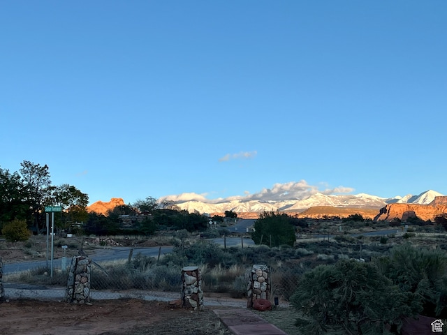 view of yard with a mountain view