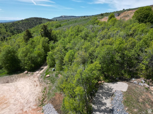 980 W Broad Hollow Cir Unit 10, Garden City, UT 84028
