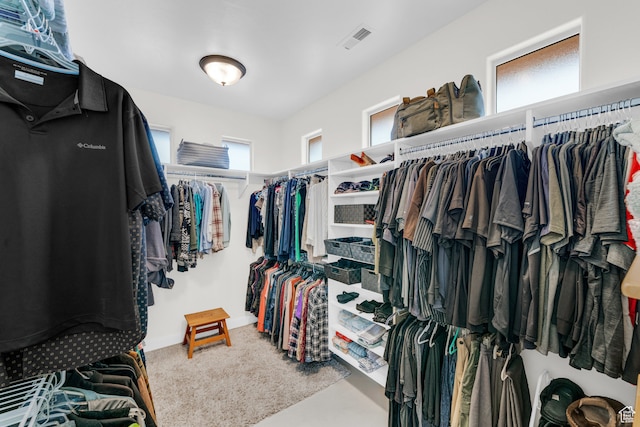 896 E Mesa Vista Dr, Ivins, UT 84738 - spacious closet with carpet
