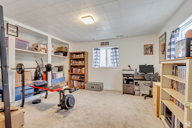 home office with light colored carpet