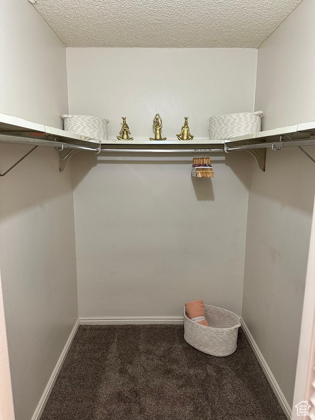 walk in closet with carpet