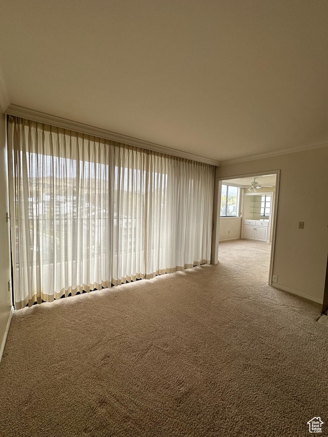 spare room with crown molding, carpet floors, and baseboards