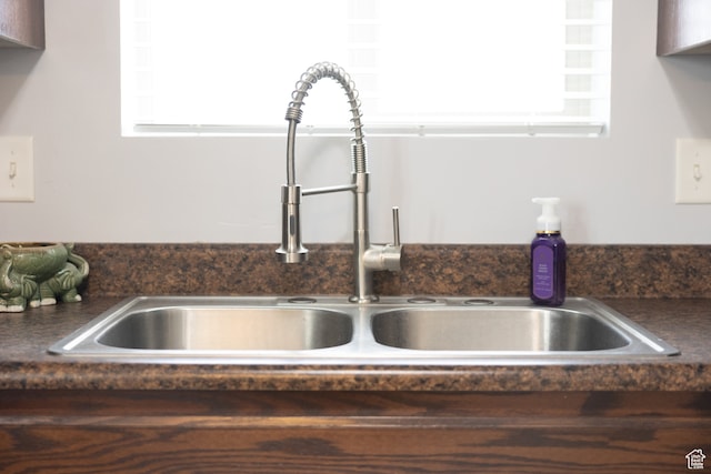 details featuring dark brown cabinetry and sink