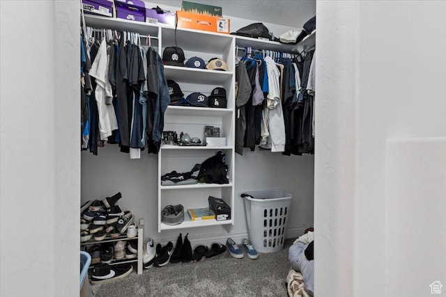 787 E 1950 S, Lehi, UT 84043 - walk in closet with carpet
