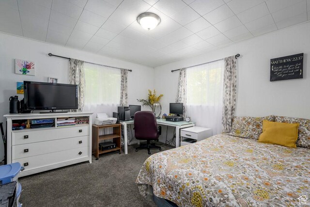 5092 W 4100 S, West Valley City, UT 84120 - bedroom featuring carpet flooring and a desk