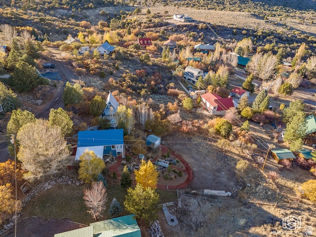 780 W Hillside Dr, Pine Valley, UT 84781 - drone / aerial view