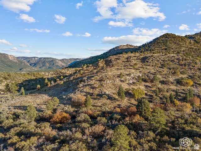 780 W Hillside Dr, Pine Valley, UT 84781 - mountain view