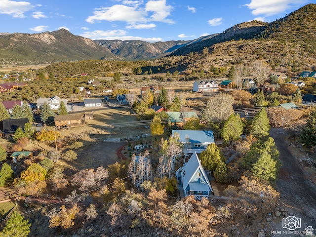 780 W Hillside Dr, Pine Valley, UT 84781 - mountain view