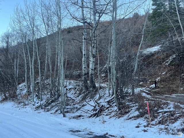 9675 Lambs Canyon Rd, Salt Lake City, UT 84109