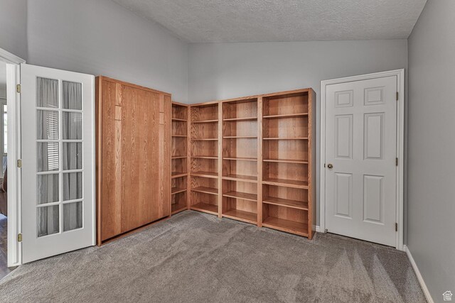 356 N Cactus Ln Unit 9, Washington, UT 84780 - unfurnished bedroom with carpet floors, a textured ceiling, and lofted ceiling
