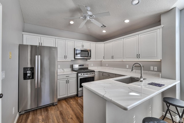 356 N Cactus Ln Unit 9, Washington, UT 84780 - kitchen featuring stainless steel appliances, a sink, dark wood-style floors, a peninsula, and ceiling fan