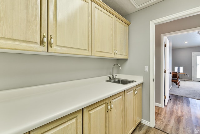 356 N Cactus Ln Unit 9, Washington, UT 84780 - washroom featuring a sink, baseboards, and wood finished floors
