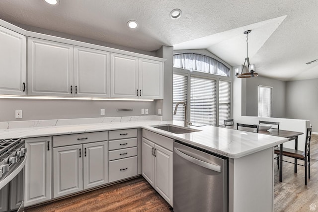 356 N Cactus Ln Unit 9, Washington, UT 84780 - kitchen with appliances with stainless steel finishes, a sink, a peninsula, dark wood-style flooring, and vaulted ceiling