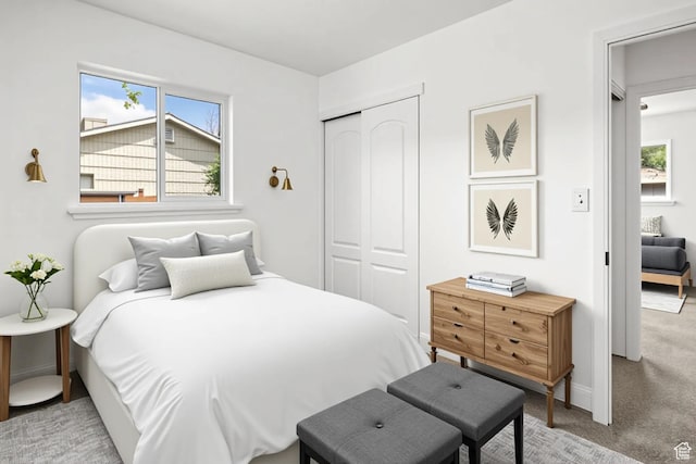321 Park Rd, Moab, UT 84532 - bedroom featuring light colored carpet and a closet