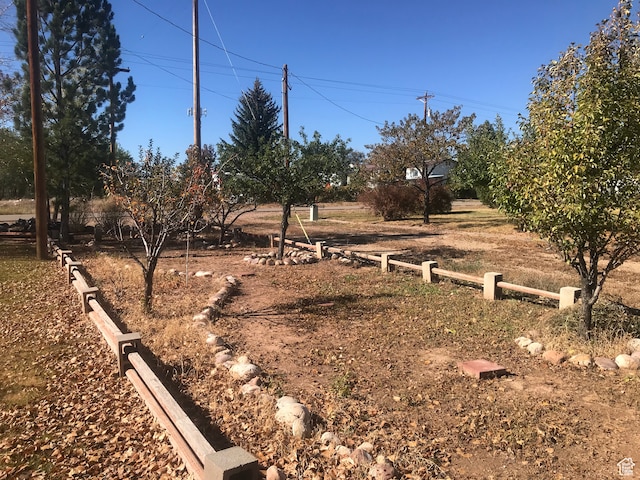view of yard featuring a rural view