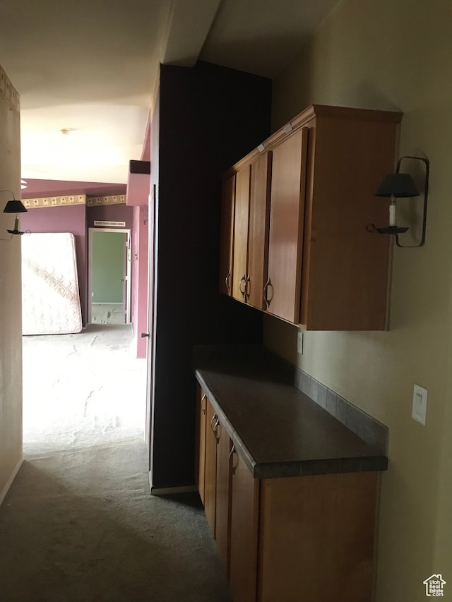 kitchen featuring carpet flooring