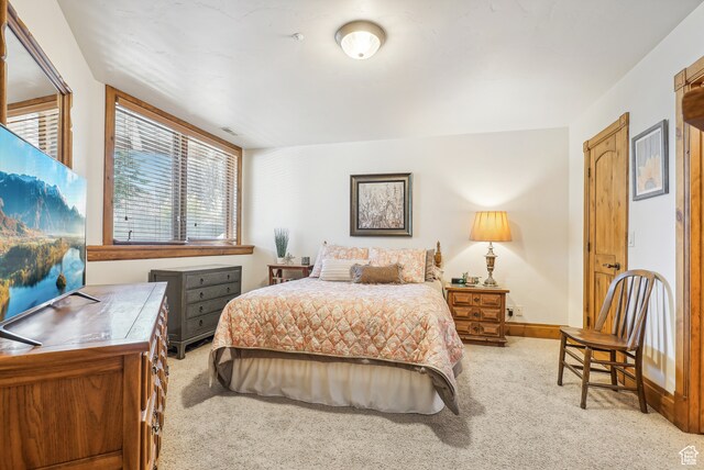 view of carpeted bedroom