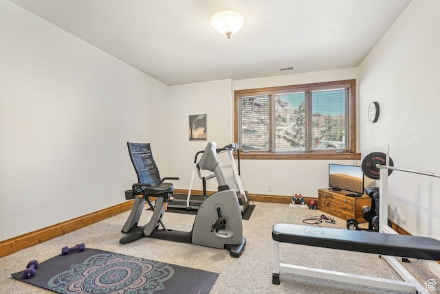 exercise area with carpet flooring