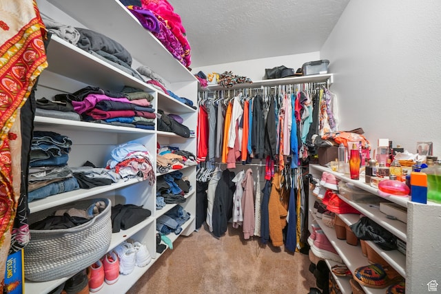 1567 S 1700 E, Spanish Fork, UT 84660 - spacious closet featuring carpet floors