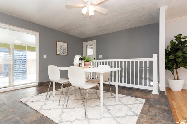 dining room featuring ceiling fan and dark hardwood / wood-style floors