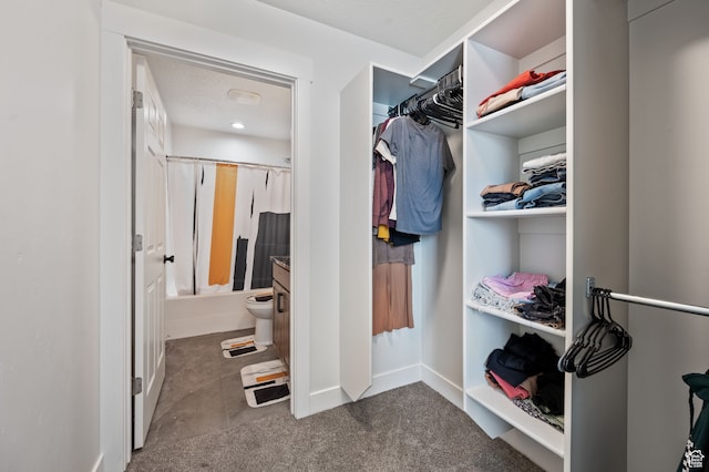 spacious closet with carpet