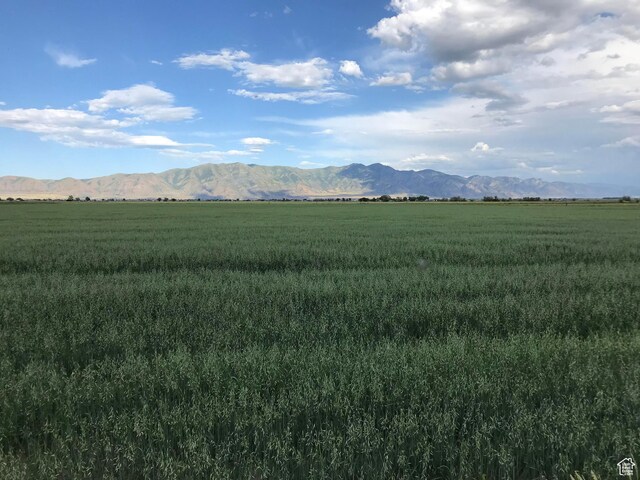 10000 W 10400 N, Bothwell, UT 84337 - photo 3