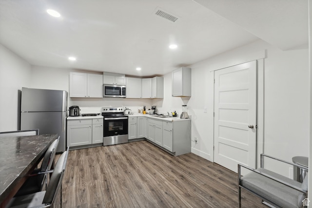 11959 S 235 E, Draper, UT 84020 - kitchen with stainless steel appliances, dark wood finished floors, recessed lighting, and a sink