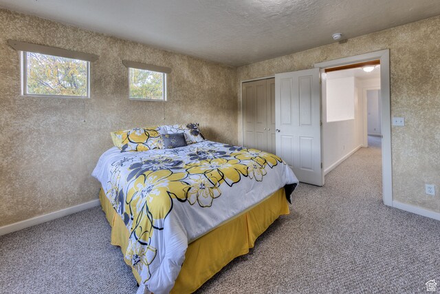 385 E Pueblo Ct, Moab, UT 84532 - bedroom with a textured ceiling, carpet flooring, and a closet