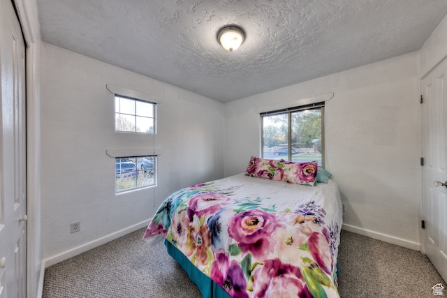385 E Pueblo Ct, Moab, UT 84532 - bedroom featuring a closet, a textured ceiling, and carpet flooring
