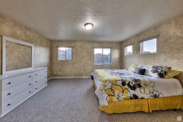 385 E Pueblo Ct, Moab, UT 84532 - bedroom featuring a textured ceiling and carpet floors