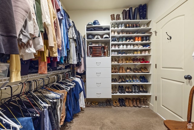 2745 E 4510 S, Holladay, UT 84117 - spacious closet featuring carpet floors