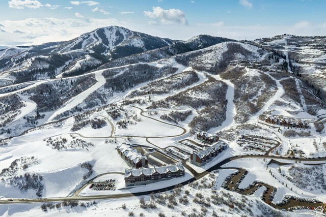 2303 Deer Hollow Rd Unit 1314, Park City, UT 84060 - mountain view