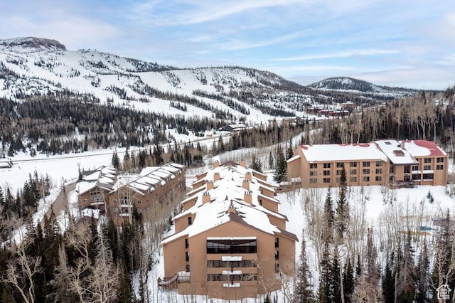 150 W Ridgeview St Unit 220, Brian Head, UT 84719 - view of mountain feature
