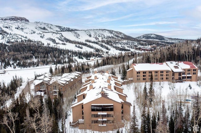 150 W Ridgeview St Unit 220, Brian Head, UT 84719 - view of mountain background featuring a forest