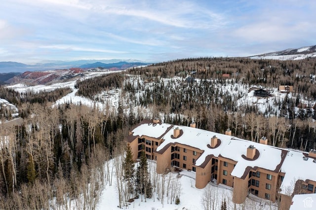 150 W Ridgeview St Unit 220, Brian Head, UT 84719 - snowy aerial view with a mountain view