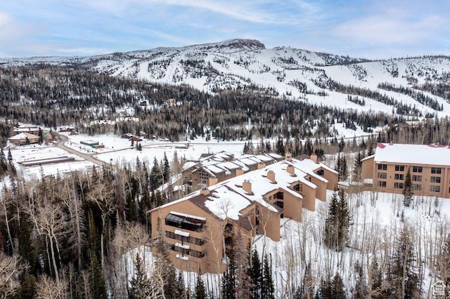 150 W Ridgeview St Unit 220, Brian Head, UT 84719 - view of mountain backdrop