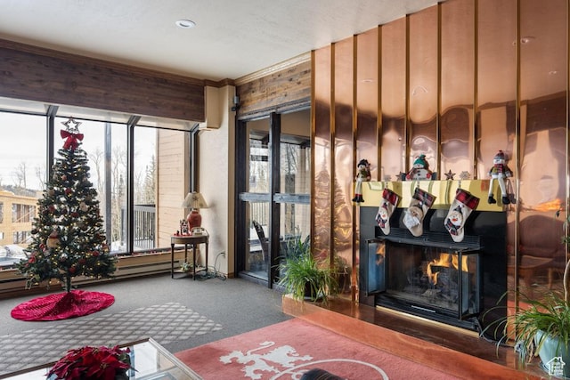 150 W Ridgeview St Unit 220, Brian Head, UT 84719 - interior space featuring a baseboard radiator and carpet floors