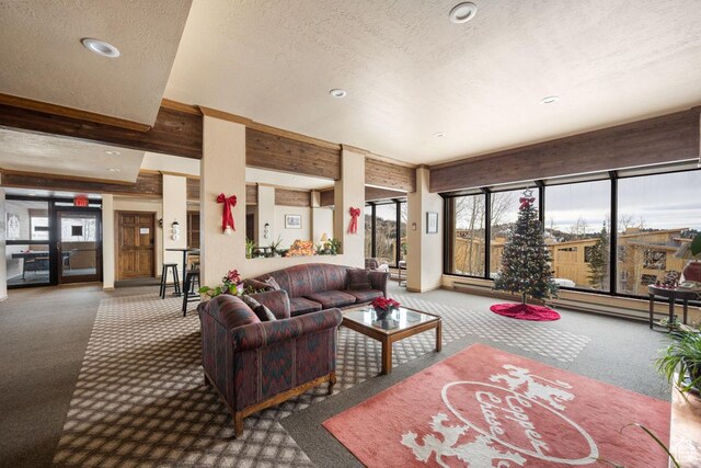 150 W Ridgeview St Unit 220, Brian Head, UT 84719 - living room with carpet, a textured ceiling, and a baseboard heating unit