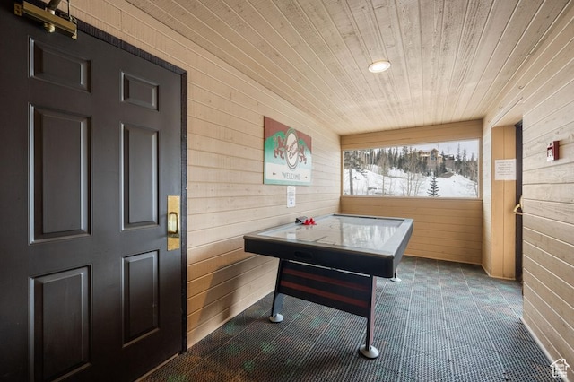 150 W Ridgeview St Unit 220, Brian Head, UT 84719 - playroom featuring wood walls and wooden ceiling