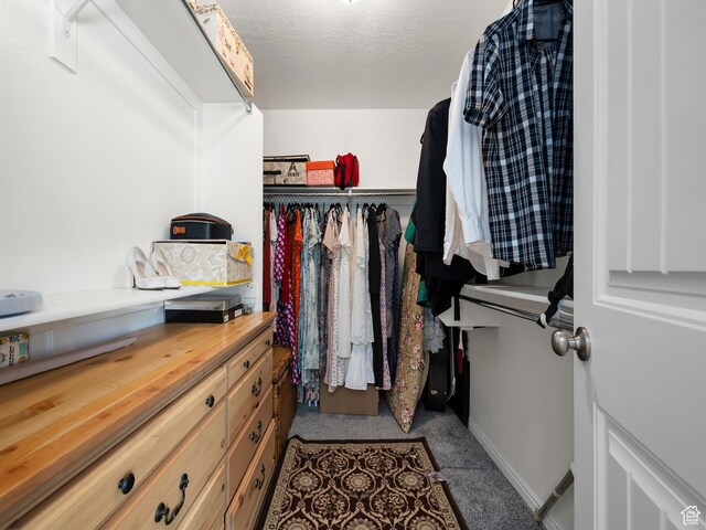 4182 E Paddock Way, Eagle Mountain, UT 84005 - spacious closet featuring light colored carpet