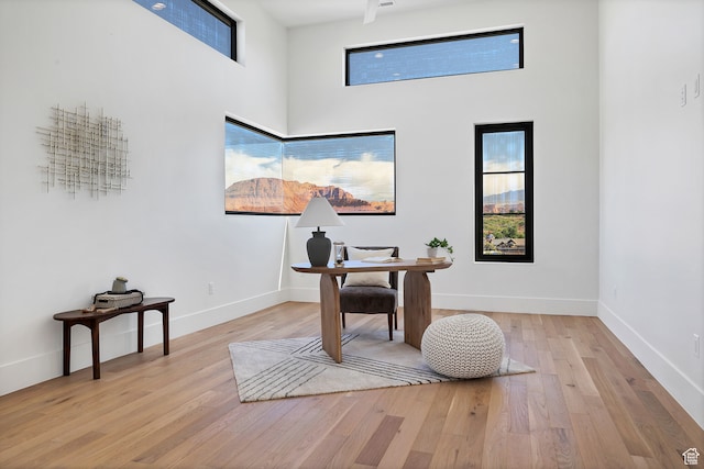 3967 N Hillside Way, Santa Clara, UT 84765 - office featuring light hardwood / wood-style floors and a towering ceiling