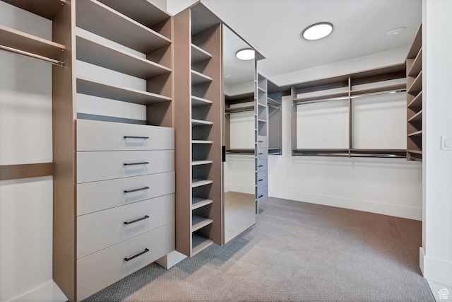 3967 N Hillside Way, Santa Clara, UT 84765 - walk in closet featuring carpet flooring