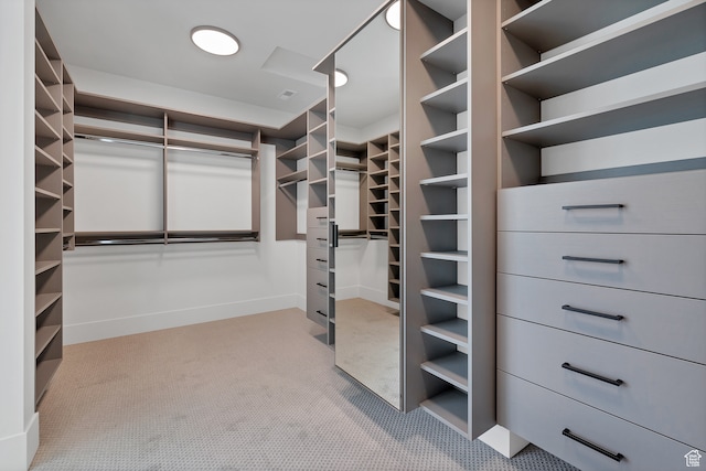 3967 N Hillside Way, Santa Clara, UT 84765 - spacious closet featuring light colored carpet