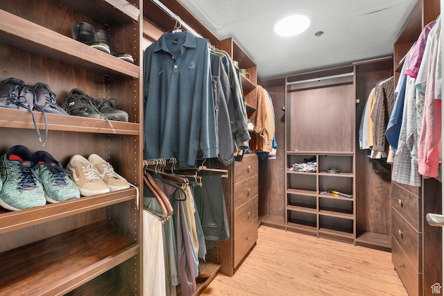 44 W Broadway S Unit 1205S, Salt Lake City, UT 84101 - spacious closet with light wood-type flooring