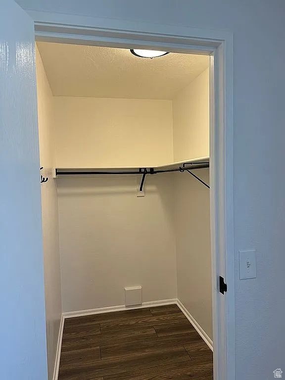 spacious closet with dark hardwood / wood-style flooring