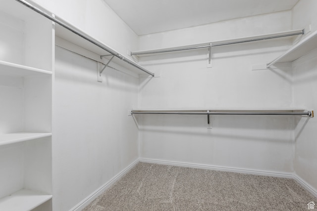 walk in closet with light carpet